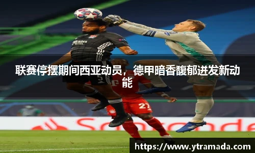 联赛停摆期间西亚动员，德甲暗香馥郁迸发新动能